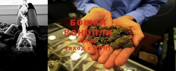 кокс Ельня