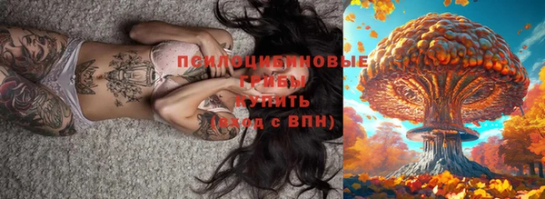 кокс Ельня