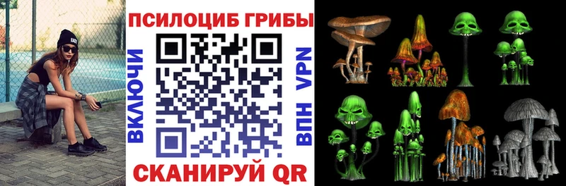 Псилоцибиновые грибы ЛСД  OMG маркетплейс  даркнет наркотические препараты  Пущино 